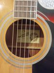 Levin akustisk gitarr