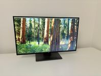 Dell UltraSharp U2520D – Mycket bra skick