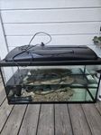 Akvarium 50L