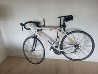 Avanti Vivace racer i bra skick