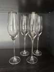 Champagneglas i kristall, 4 st