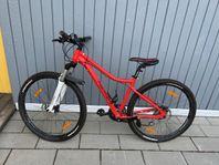 Damcykel