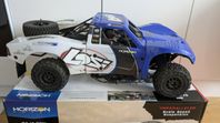 Losi Baja Ray