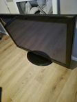 tv Panasonic