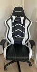 Gamingstol AKRACING