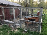 Hönshus och hönsgård