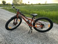 Scott Roxter 24”