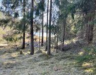 Skogsfastighet 6 ha i Bäsna möjlig som tomt för fritidshu