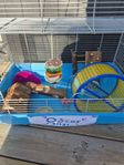 Hamsterbur med massor tillbehör 