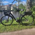 Crescent Elora  svart 2024
