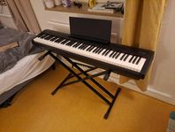 Elpiano, Roland FP-30 BK