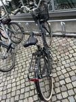 monark karin