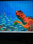 speldator 7800x3d/4080 super + zowie 540hz