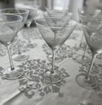 9 martiniglas, cocktailglas, glas , fest, student