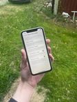 IPhone 11 - 256GB / 100% batterihälsa
