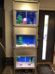 Akvarium ställning