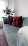 sammet soffa ljusa turkos och med en fåtölj