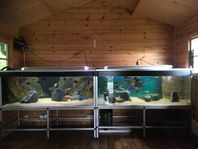akvariesand / akvariegrus