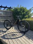 Lapierre XRm 9.9 75 L