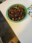 chaga