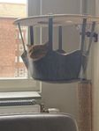 Cat Tree