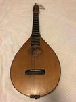 Gitarr/luta 