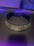 hund halsband med diamanter 