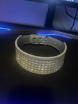 hundhalsband med diamanter 