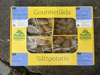 Sättpotatis 4 olika sorter