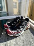 Salomon XT6
