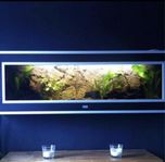 Väggakvarium med tillbehör 