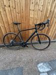 Canyon Endurace 7 AL - M