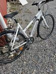 Cykel 