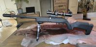 Extrem-kittad Ruger 10/22 i backpacker chassi