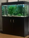 akvarie 200l