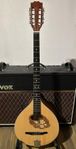 Irish Bouzouki Thomann M1089-P med inbyggd mikrofon