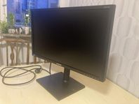 Bildskärm Samsung 24"