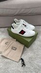 Gucci ace