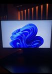asus ROG Swift 360hz