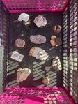 mineralsamling