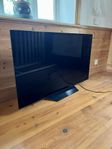 LG OLED TV 55tum i fint skick 