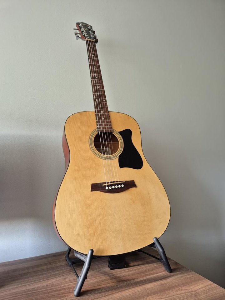 Ibanez Akustisk gitarr V50NJP 