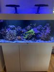 saltvattensakvarium RIO 180l