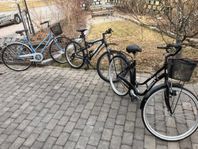 Mountainbike, Damcyklar, Herrcyklar