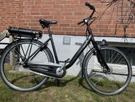 batavus
