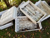 Plastlådor Plantbackar Fiskebackar Fiskelådor Förvaring 