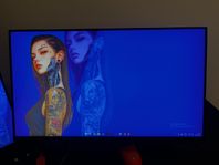Alienware skärm 240hz (AW2518HF)