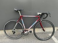 Single speed racer Giant Cadex