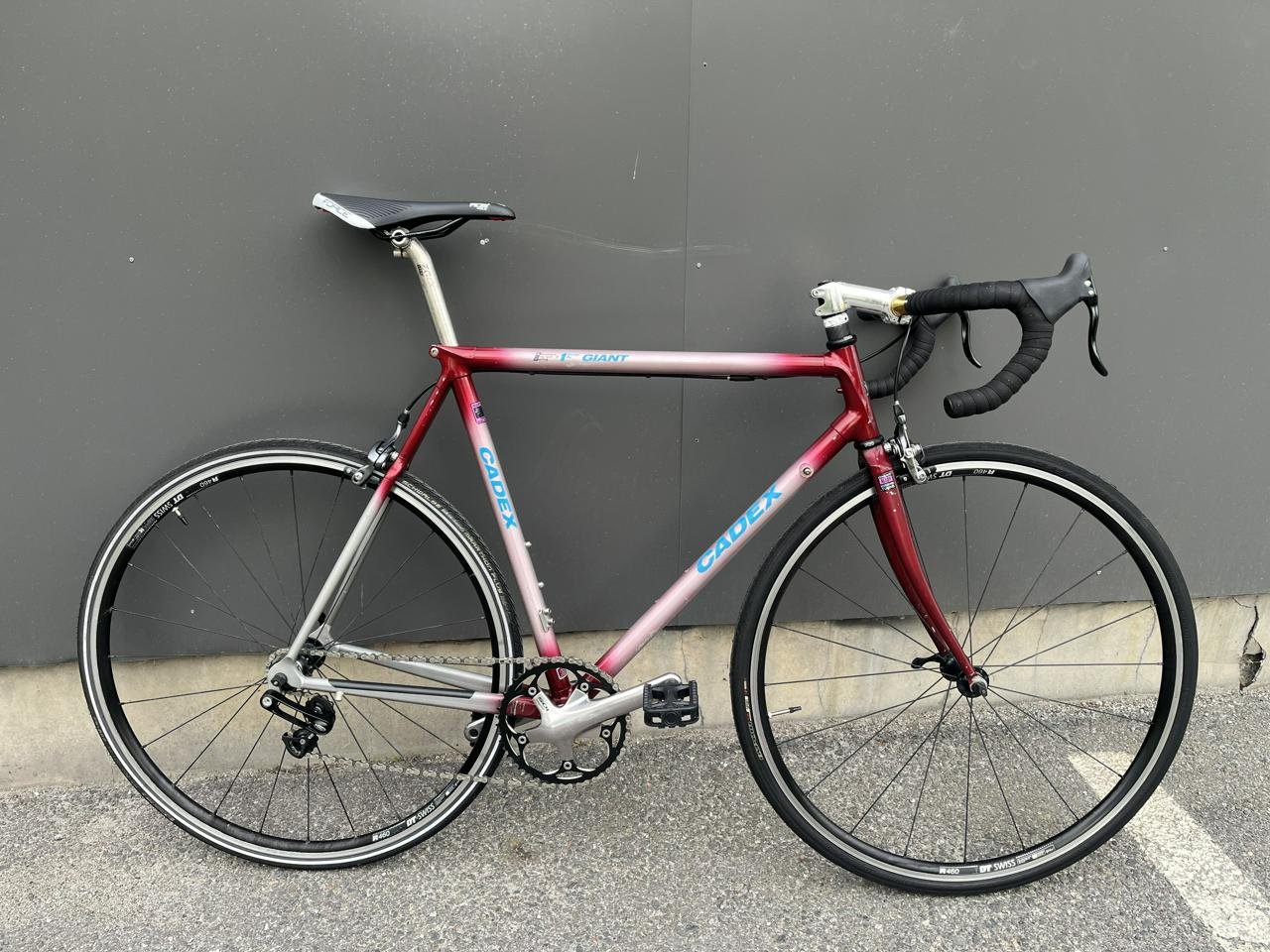 Single speed racer Giant Cadex