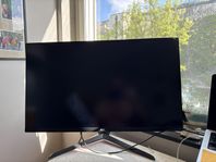 defekt LG 34 ultrafine 32un880 b 